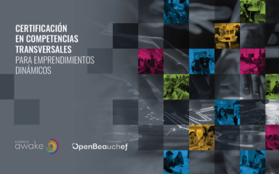 Certificación en Competencias Transversales para Emprendimientos Dinámicos